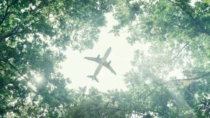 avion dev durable