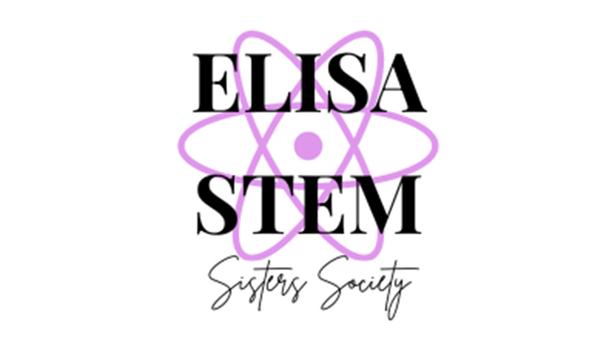 stem logo web