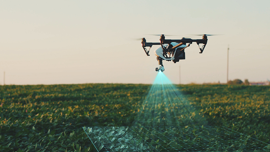 drone web 2